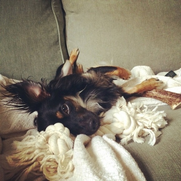 Bookmark My Closet ♡ - Picture 6 of 8